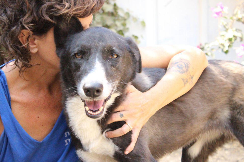 Лили. Фото: "Тну ле-хайот лихъот" (Фото: тну ле-хайот лихьот) Лили. Фото: "Тну ле-хайот лихъот"