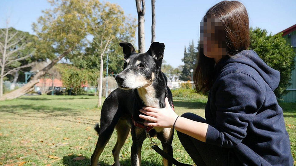 Боуи. Фото: "Тну ле-хайот лихъот" (Фото: тну ле-хайот лихьот) Боуи. Фото: "Тну ле-хайот лихъот"