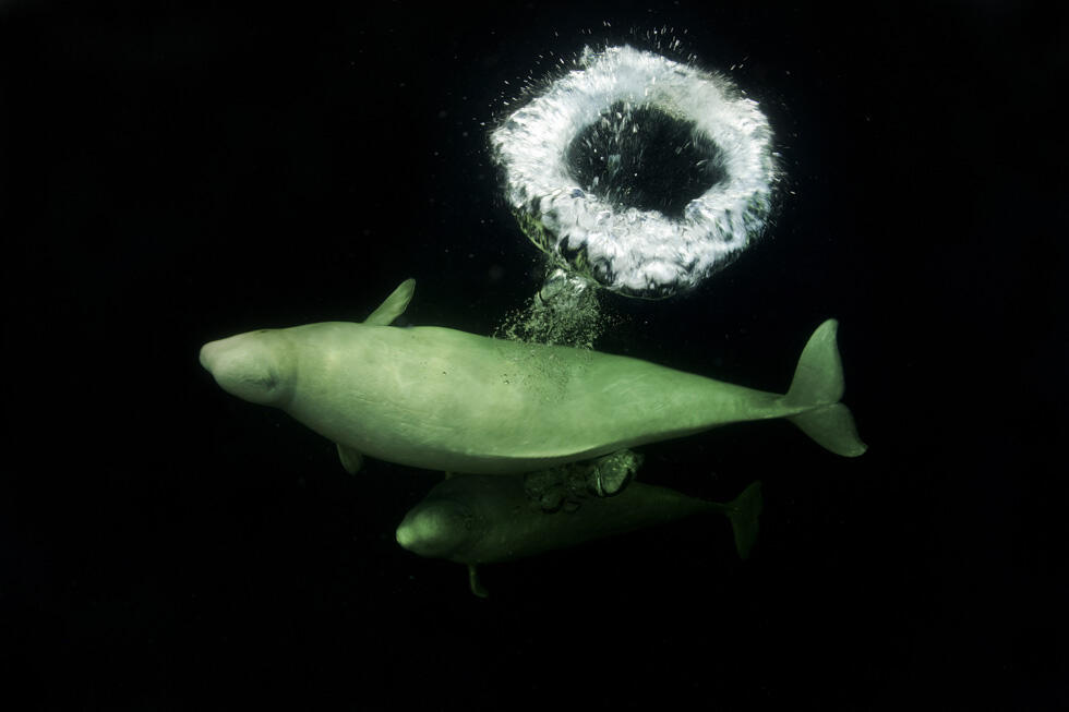 Фото: Дафна Бен-Нун