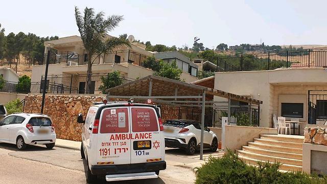 Рош-Пина. Фото: МАДА (צילום: דוברות מד"א) Рош-Пина. Фото: МАДА