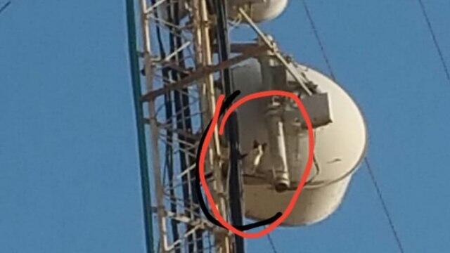 Спасение кошки с высоты 45 метров. Фото: пресс-служба полиции (Фото: пресс-служба полиции) Спасение кошки с высоты 45 метров. Фото: пресс-служба полиции