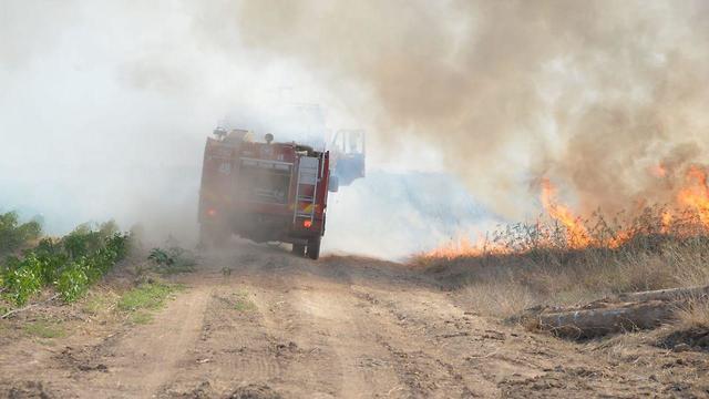 Пожар на юге Израиля. Фото: пресс-служба пожарной охраны