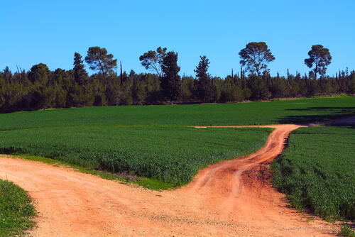Лес Бен-Шемен. Фото: shutterstock
