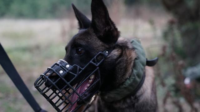 Учения ЦАХАЛа на севере Израиля. Фото: пресс-служба ЦАХАЛа