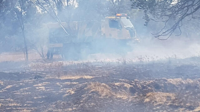Fire at Kissufim Forest damaged caused by incendiary balloons sent from nearby Gaza (צילום: משה ברוכי, יערן קק״ל) Fire at Kissufim Forest damaged caused by incendiary balloons sent from nearby Gaza