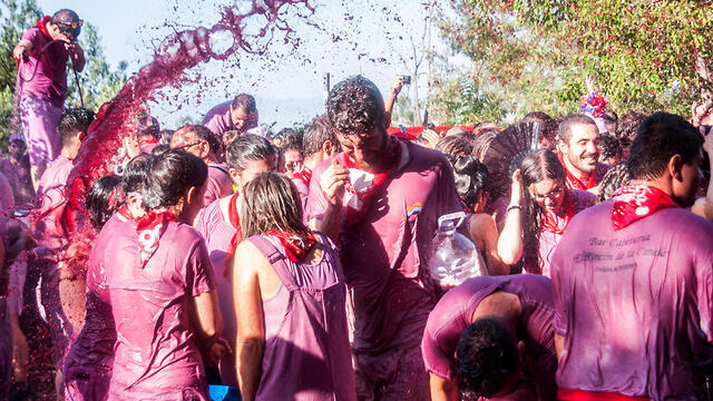 Винная битва в Испании. Фото: AP