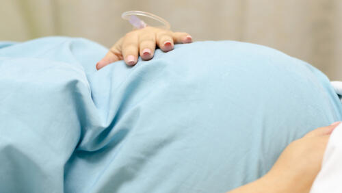 Фото: shutterstock