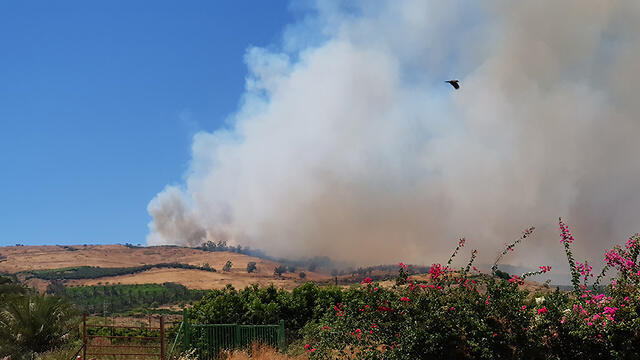 Пожар у больницы "Пория". Фото: Моше Тшува (צילום: משה תשובה) Пожар у больницы "Пория". Фото: Моше Тшува