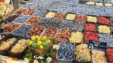 Фото: Ноа Лави