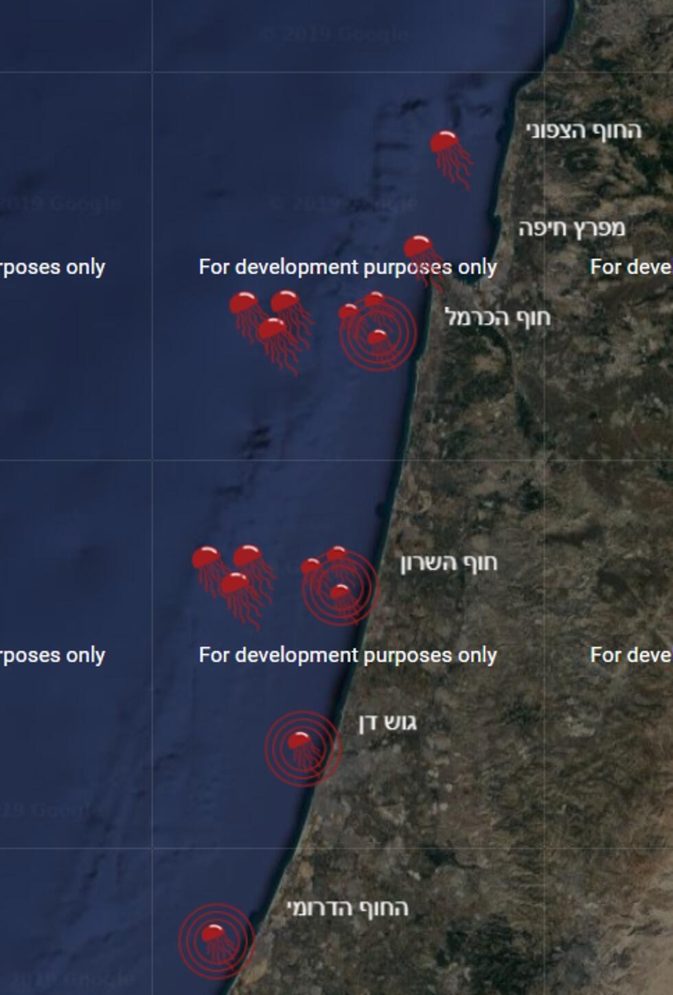 Так выглядит информация