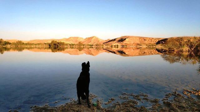 Жара в Израиле. Фото: "Матмон бе-Арава"