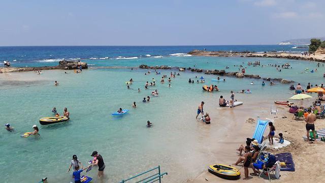 Фото: пресс-служба Управления национальных заповедников и парков