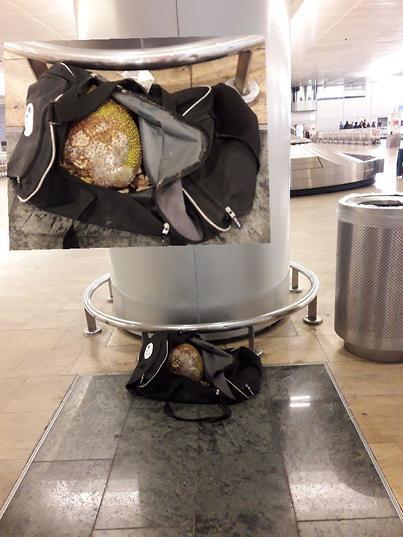 צילום: משרד החקלאות