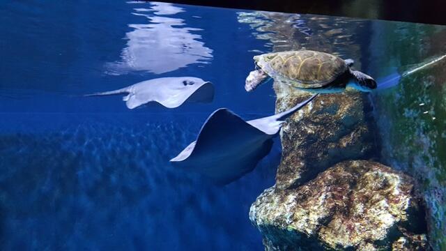 Фото: Шай Бен-Ами