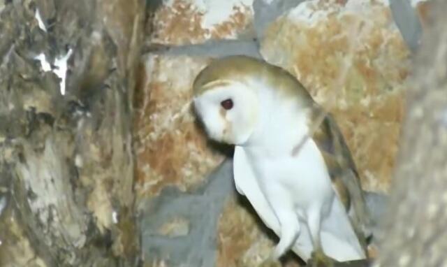 Фото: пресс-служба