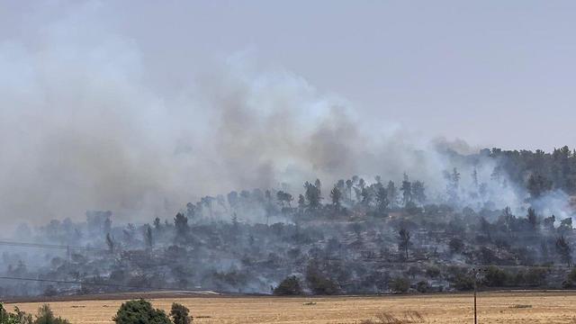 A wildfire burns in the Valley of Elah near Modi'in