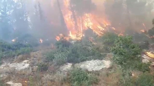 Пожар возле мошава Адерет (Иерусалимский округ). Фото: пожарная служба