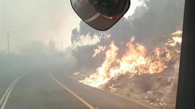 Пожар возле мошава Адерет (Иерусалимский округ). Фото: пожарная служба