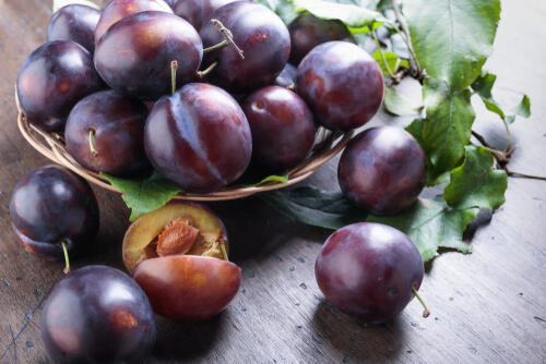 Фото: shutterstock