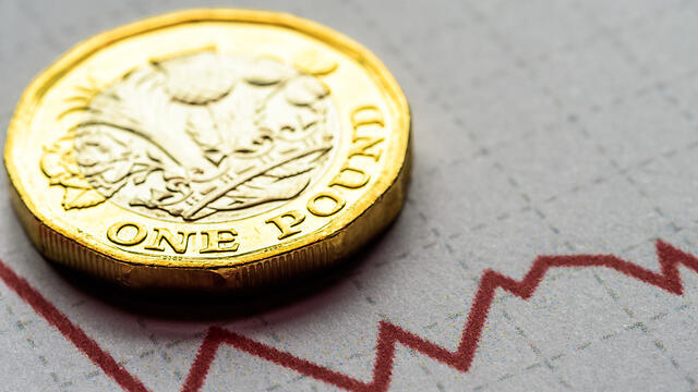 Фунт стерлингов. Фото: shutterstock (צילום: shutterstock) Фунт стерлингов. Фото: shutterstock