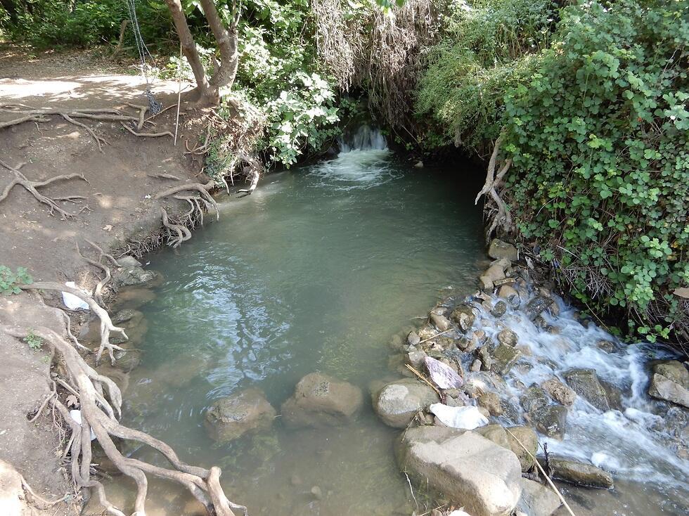 Климатические изменения угрожают водоемам. Фото: Авиталь Газит