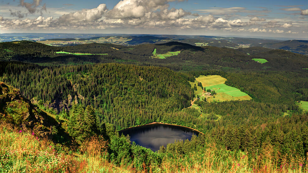 Black Forest, Germany (Photo: Shutterstock) היער השחור גרמניה