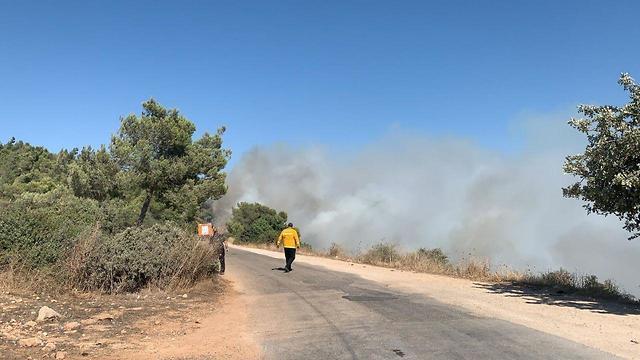Пожар в лесу Черчилль. Фото: пожарная служба (צילום: דוברות עיריית נצרת עילית) Пожар в лесу Черчилль. Фото: пожарная служба
