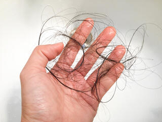 Фото: shutterstock