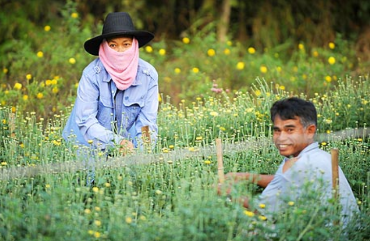  Иностранные рабочие в Израиле. Фото: AFP