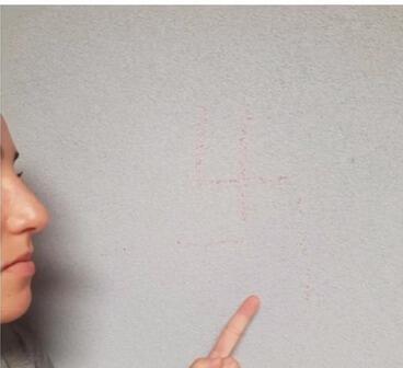 מיכל ששון שירה ששון נאצים (צילום מסך) מיכל ששון שירה ששון נאצים