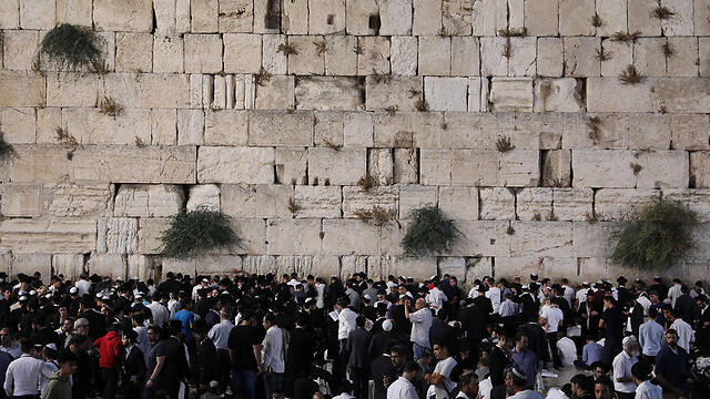 Стена плача. Фото: EPA