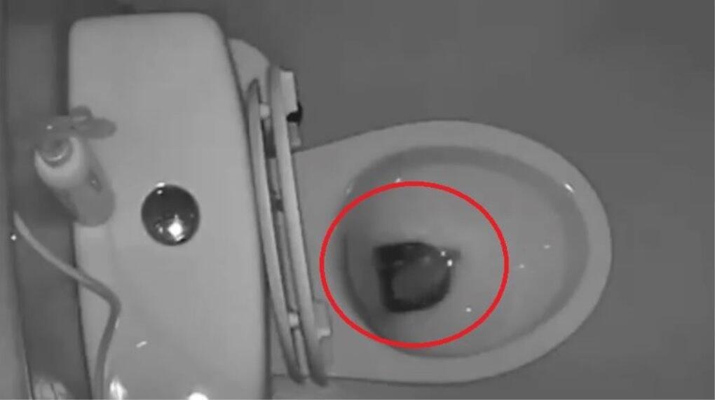 Фото: кадр с записи камеры наблюдения (Фото: кадр с записи камеры наблюдения) Фото: кадр с записи камеры наблюдения