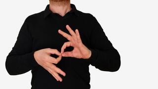 שפת הסימנים