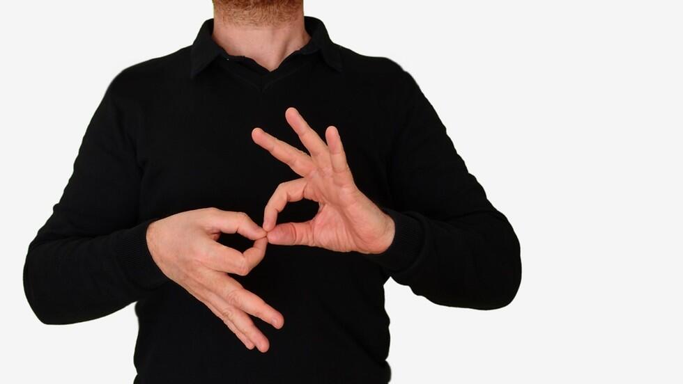 Язык жестов (Фото: shutterstock) שפת הסימנים