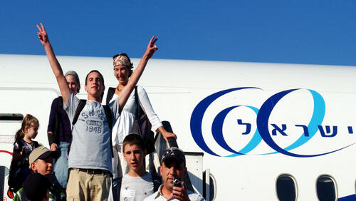 Фото: ChameleonsEye, shutterstock