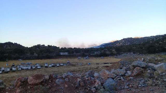 Хар-Дов, архив