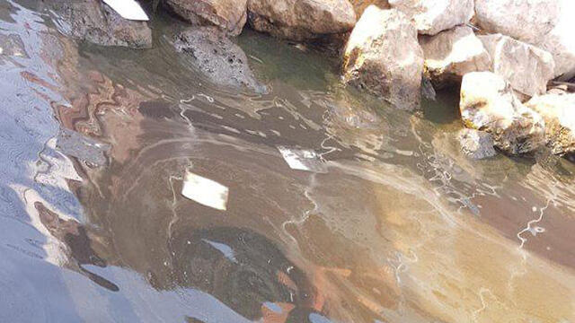 Масляные пятна в Хайфском заливеnullnull Масляные пятна в Хайфском заливе