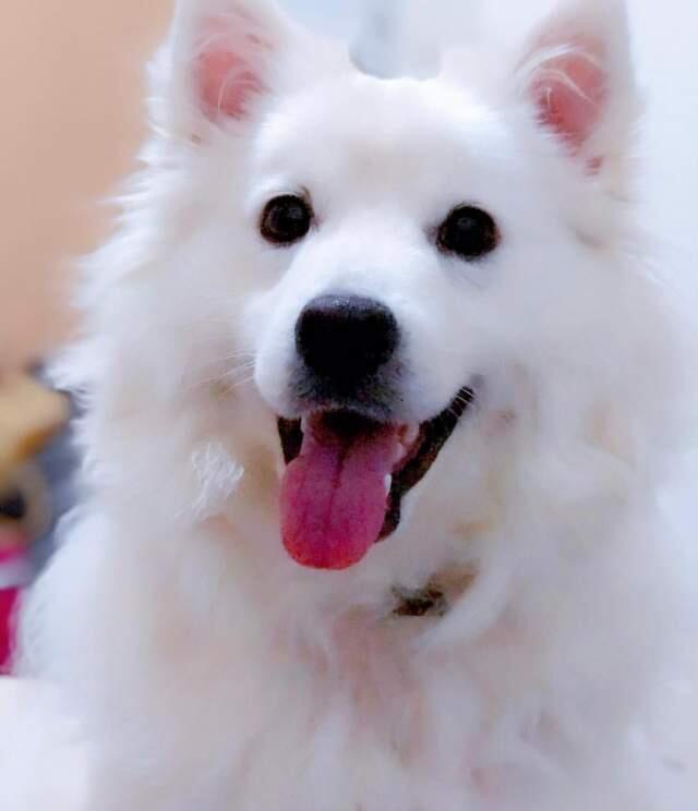 Мачо вдохновляет Карин на красоту. Фото: Карин Василюк (Мачо вдохновляет Карин на красоту. Фото: Карин Василюк) Мачо вдохновляет Карин на красоту. Фото: Карин Василюк