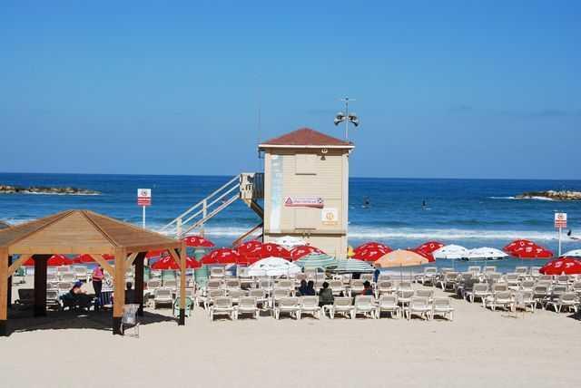 Фото: Авива Левинсон