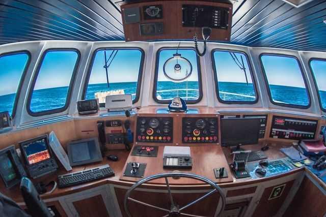 Фото: Амит Либер