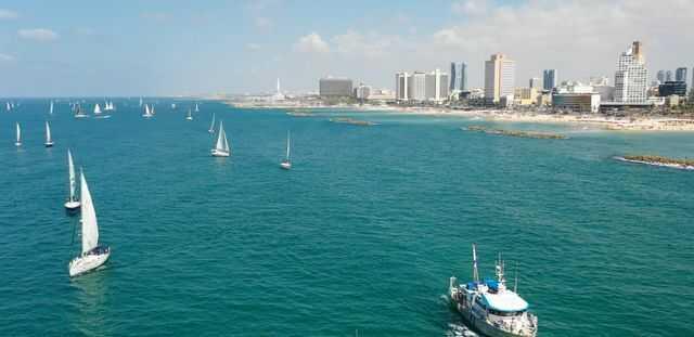 Фото: компания "Атарим"