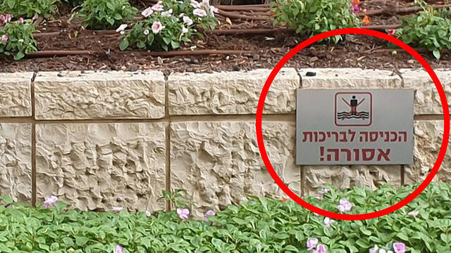 Щит с предупреждением на ограде пруда. Фото: Ницан Дрор (צילום: ניצן דרור) Щит с предупреждением на ограде пруда. Фото: Ницан Дрор