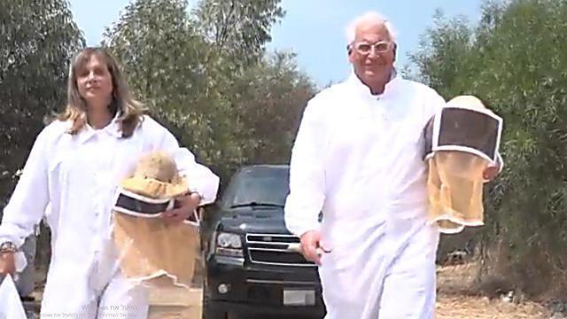  Посол США в Израиле с супругой собирают мед. Фото: пресс-служба американского посольства