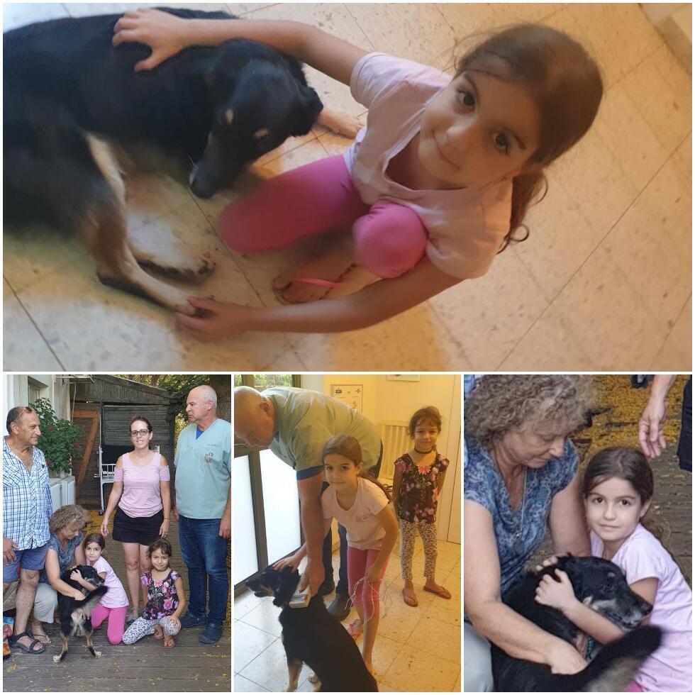 Бобби с хозяевами и благодетелями. Фото: Яэль Шавит (צילום: יעל שביט) Бобби с хозяевами и благодетелями. Фото: Яэль Шавит