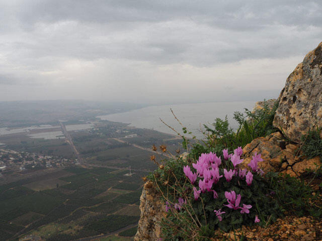Утес Арбель зимой. Фото: Гиль Лапидот