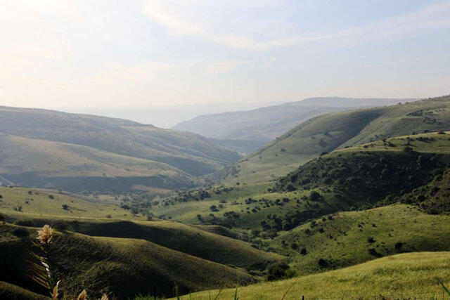 Вид на базальтовое ущелье, открывающийся с площадки Эльад. Фото: Яаков Школьник