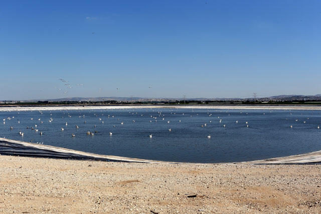 Мицпор-Викер. Фото: Ави Хиршфильд