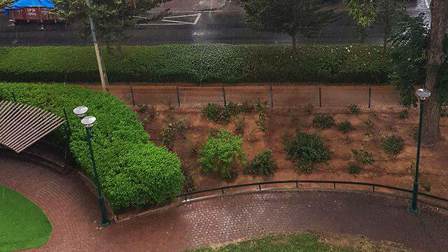 Heavy rain in Rishon LeZion