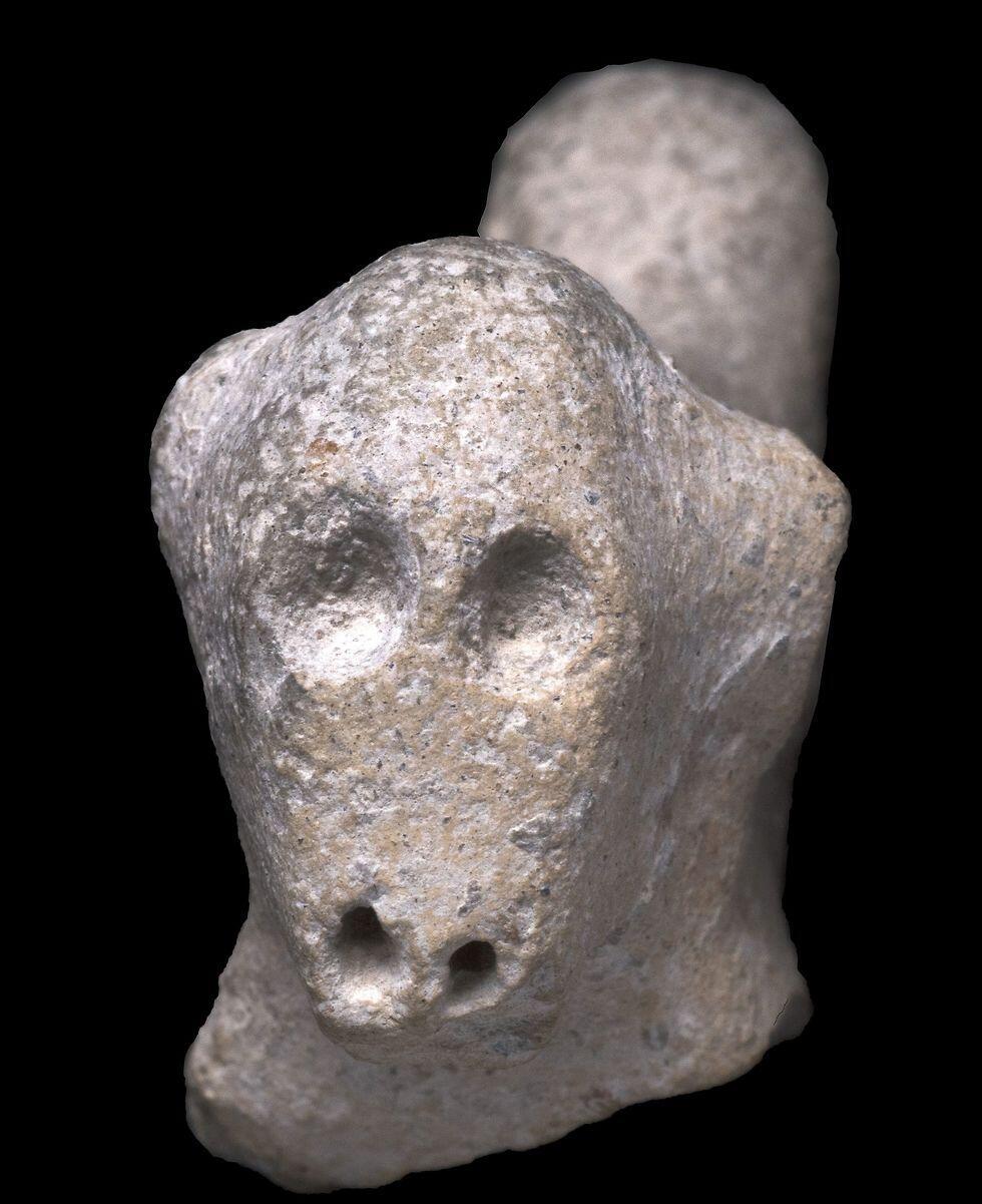 Statues dating back thousands of years were found at the dig site (צילום" קלרה עמית, רשות העתיקות) Statues dating back thousands of years were found at the dig site