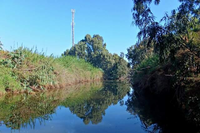 Заросли вдоль берегов Реки Хадера. Фото: Леон Левитас